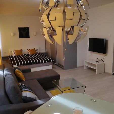 Apartment Oasis Banovo Brdo-Ada Ciganlija 베오그라드 외부 사진